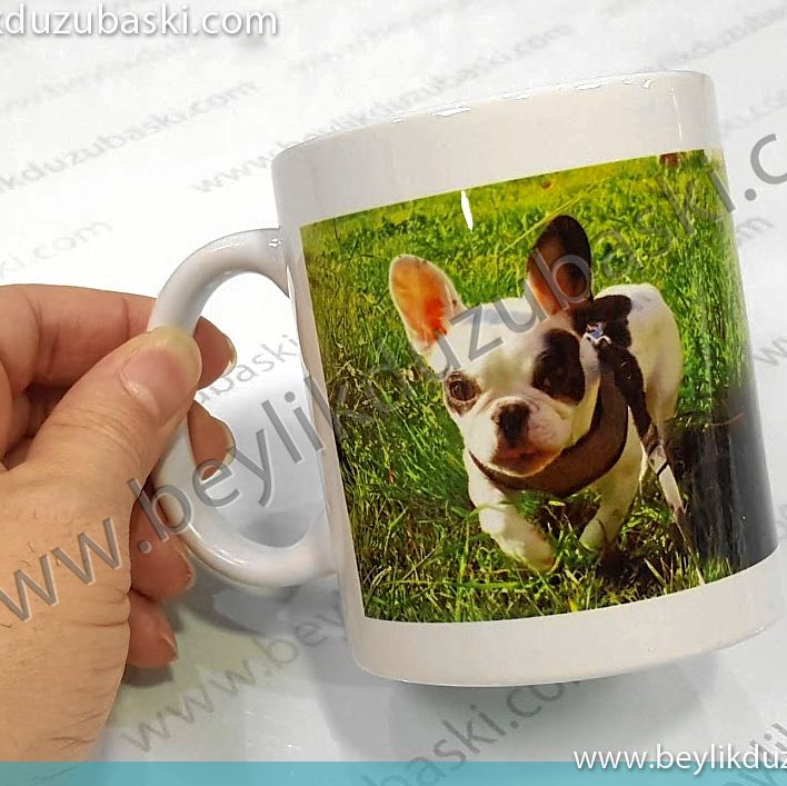 beylikdüzü kupa bardak baskısı, bir hayvan severin kupasına köpeğinin resmini yaptırması, bardak kupaları 10 dakikada hazırlarız, beylikdüzü kupa bardak baskısı